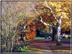 foto Parco Karlsaue in Autunno